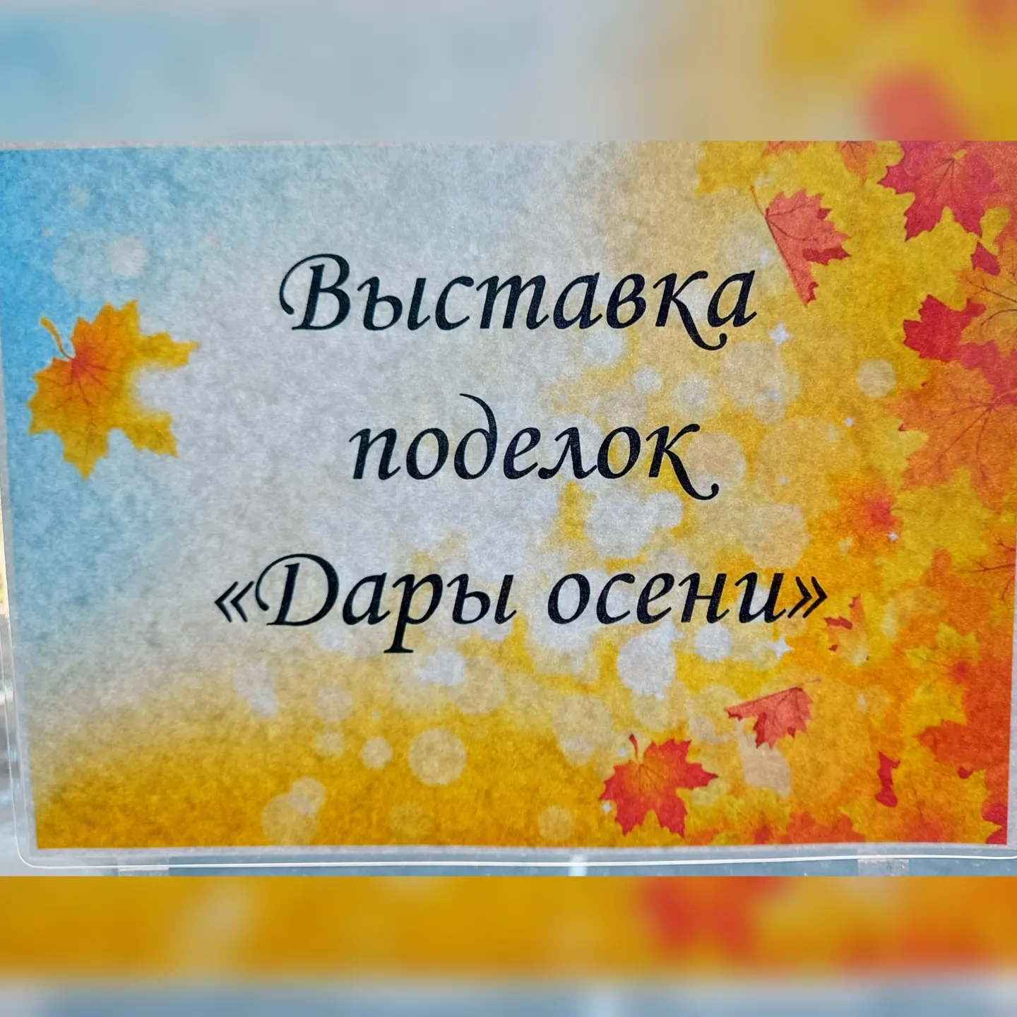 изображение_viber_2024-10-21_09-03-13-499